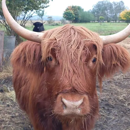 Hof Schwalbennest Amt Neuhaus