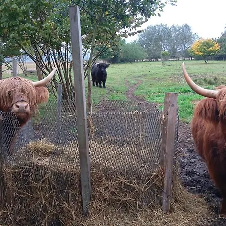 Apartamento Hof Schwalbennest *