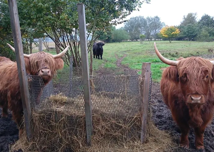 Apartmán Hof Schwalbennest *